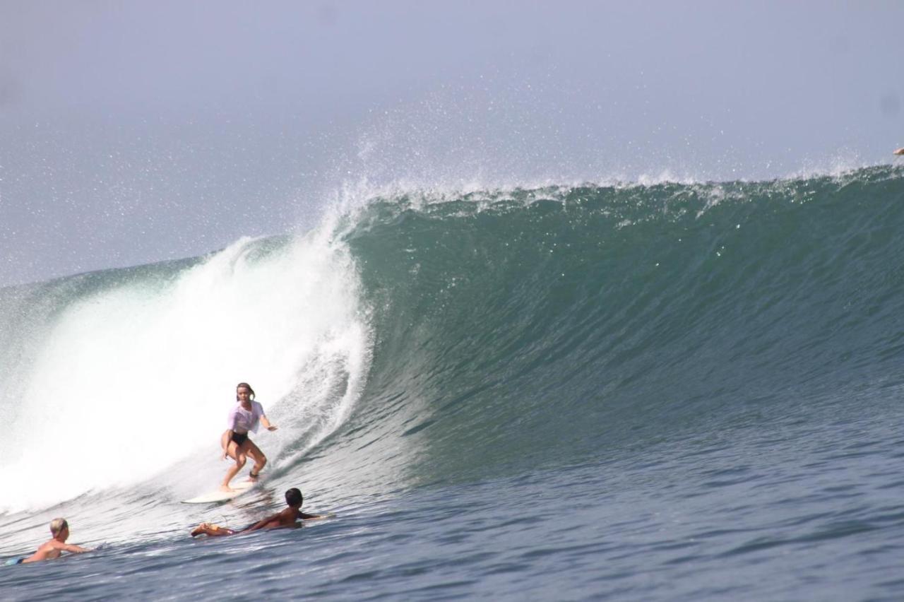Medewi Secret Surfcamp Hotel Pulukan Eksteriør billede